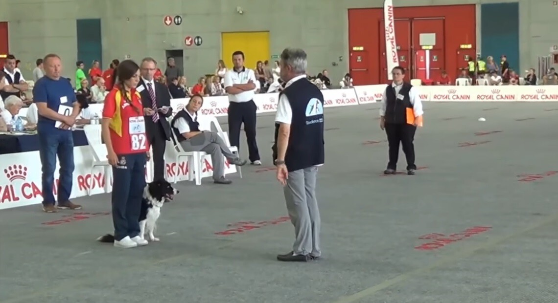 OCI: Obediencia Clase Internacional