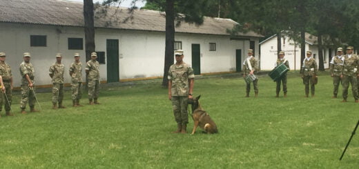 Perros del Ejército Argentino