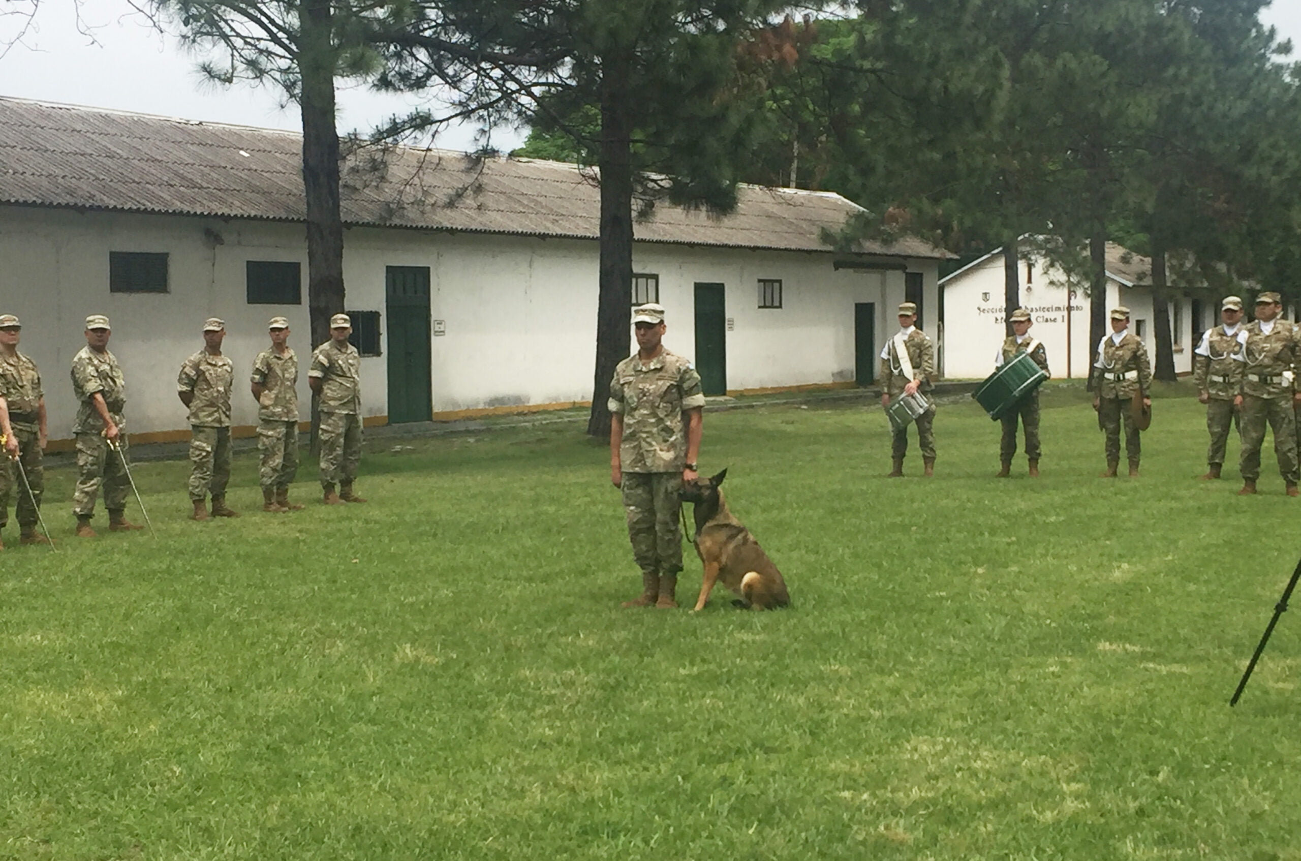 Perros del Ejército Argentino