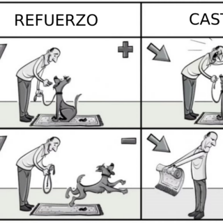 Refuerzos y Castigos