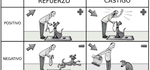 Refuerzos y Castigos