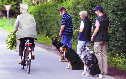 Prueba BH de obediencia canina
